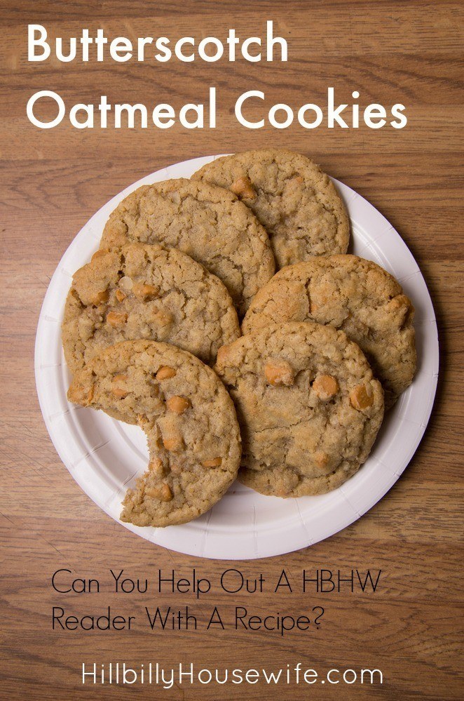 Plate of butterscotch oatmeal cookies. 