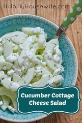 Cucumbers and Cottage Cheese A simple summer salad, or a filling, healthy lunch of sliced cucumbers, cottage cheese, herbs and spices. Healthy and delicious.