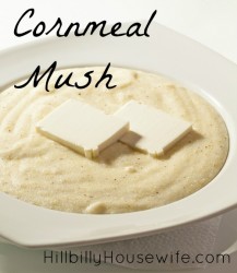 Bowl of Cornmeal Mush - Filling Frugal Breakfast