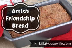 Loaf of fresh baked friendship bread