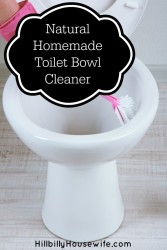 Cleaning Your Toilet Naturally