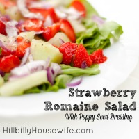 Plate of a delicious summer salad with strawberries and poppy seed dressing