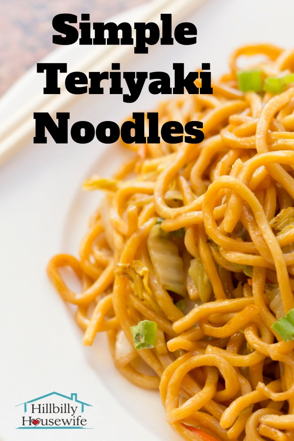 A plate of homemade teriyaki noodles with spring onion, a quick and tasty side dish.
