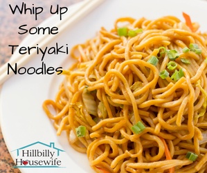 A simple dish of teriyaki noodles with green onion.