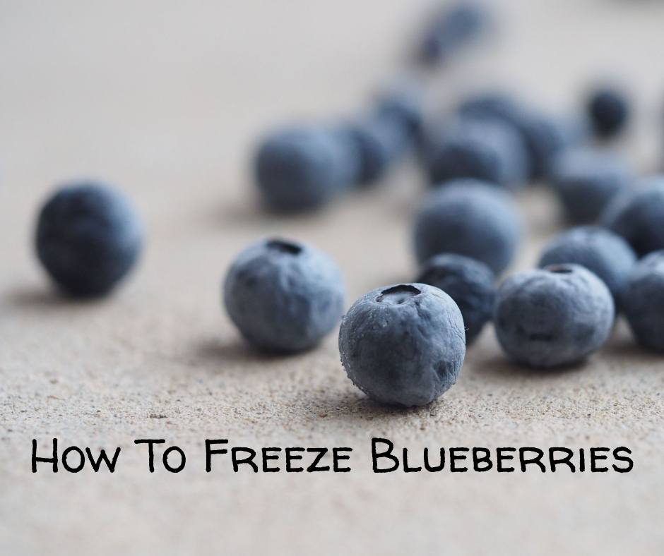 How To Freeze Blueberries