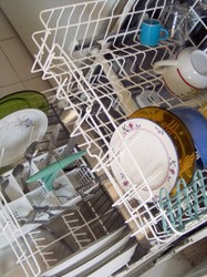 Dishwasher Loaded