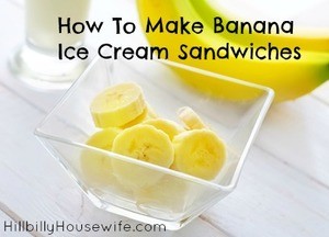 Easy Homemade Ice Cream Sandwiches 