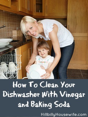 cleaning a dishwasher with baking soda