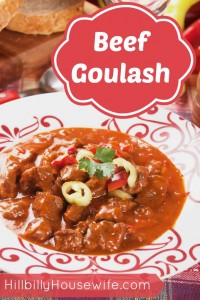 Plate of Beef Goulash