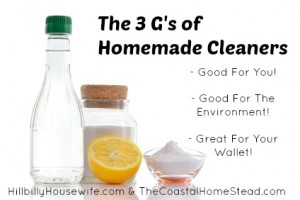 Homemade Natural Cleaners that are good for you, good for the environment and great for your wallet