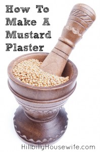 Grinding Mustard Powder