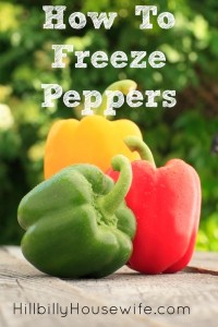 This works with any type of pepper. Easy way to store them and use later on in the year.
