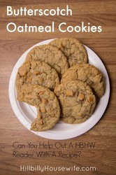 Plate of butterscotch oatmeal cookies.