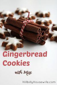 Easy Gingerbread Cookie recipe with Anise.