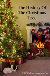Have you ever wondered how the tradition of bringing in a tree and decorating it started? Here's a brief history of the Christmas tree.