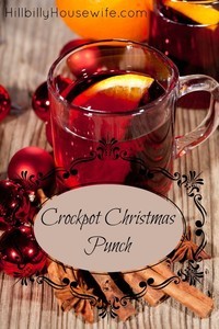 A yummy kid-friendly punch recipe perfect or the holidays. Heat it up in your slow cooker and serve.