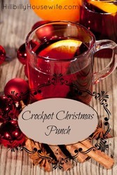 Hot Christmas Punch A yummy kid-friendly punch recipe perfect or the holidays. Heat it up in your slow cooker and serve.