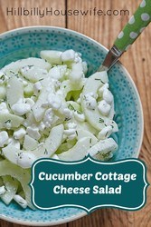 Cucumbers and Cottage Cheese A simple summer salad, or a filling, healthy lunch of sliced cucumbers, cottage cheese, herbs and spices. Healthy and delicious.