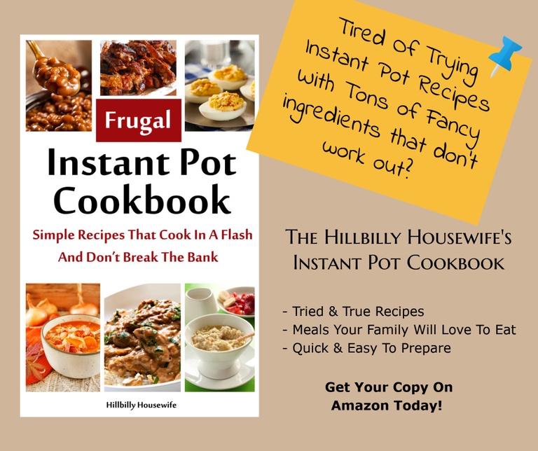 The Frugal Instant Pot Cookbook 