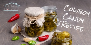 Pretty little jars of cowboy candy or pickled jalapenos