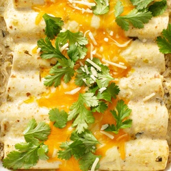 A closeup of freshly baked chicken enchiladas with fresh cilantro sprinkled on top.